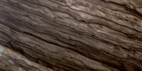 Sequoia-Brown Sequoia-Brown