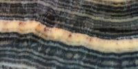 black-tiger-onyx-vein-cut-thumb