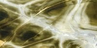 green-turtle-quartzite-thumb-2