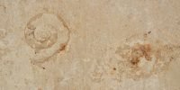 jura-beige-limestone-thumb