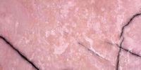 rosso-onyx-slab-image-vein-cut rosso-onyx-slab-image-vein-cut